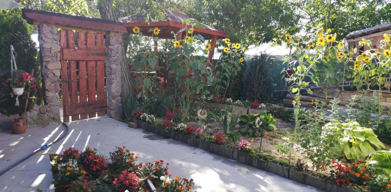 Balla House Bed & Breakfast Tărcaia Eksteriør bilde