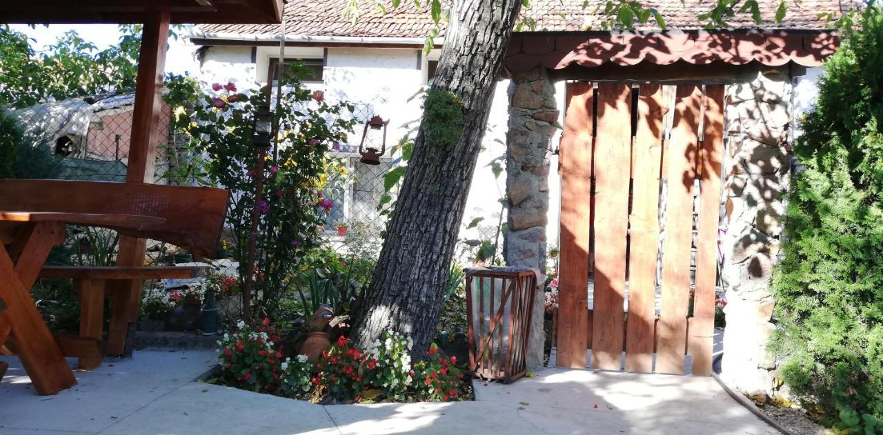 Balla House Bed & Breakfast Tărcaia Eksteriør bilde