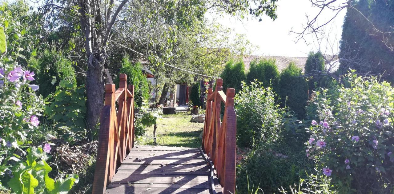 Balla House Bed & Breakfast Tărcaia Eksteriør bilde