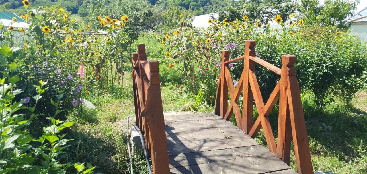 Balla House Bed & Breakfast Tărcaia Eksteriør bilde