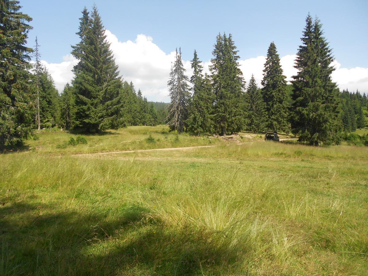 Balla House Bed & Breakfast Tărcaia Rom bilde